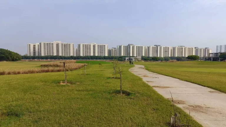 Delhi-NCR-Saw-29-Land-Deals-for-Approximately-314-Acres-Closed-in-Fy-24-Gurugram-Tops-the-List-1536x864