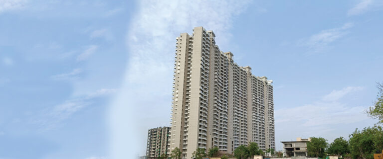 County The Center Court